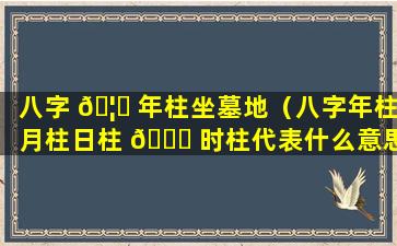 八字 🦅 年柱坐墓地（八字年柱月柱日柱 🐕 时柱代表什么意思）